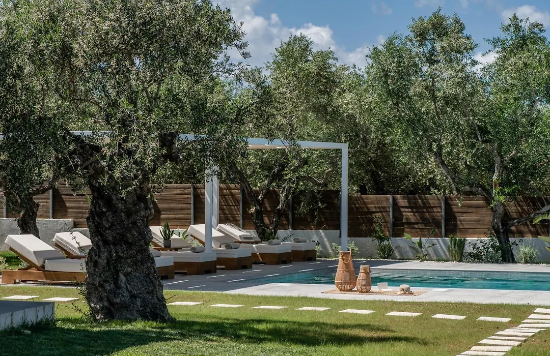 Armonia Boutique Hotel-1